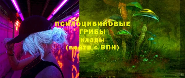 мяу мяу мука Каменка