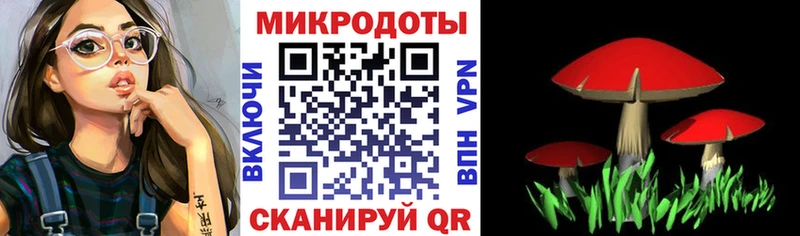 Псилоцибиновые грибы Psilocybe  Купить где  Псков 