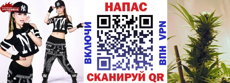 Купить  Псков  Конопля сатива 